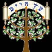Eitz Chaim Congregation logo